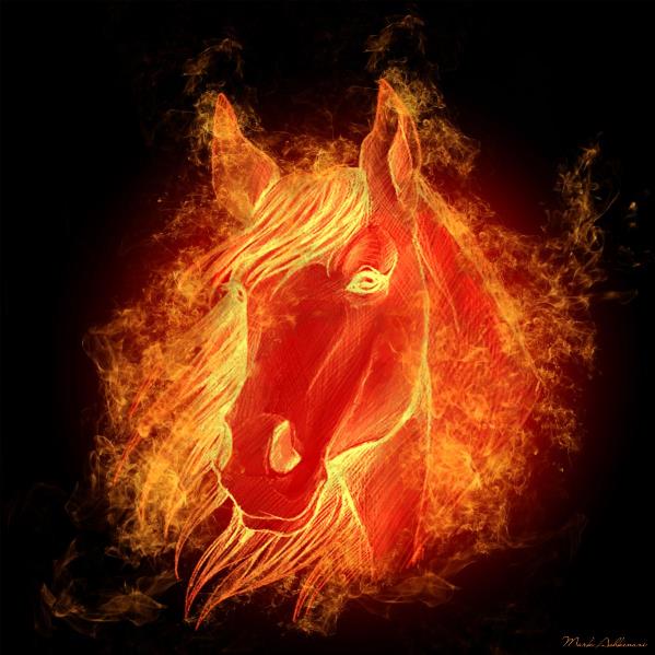 Horse On Fire