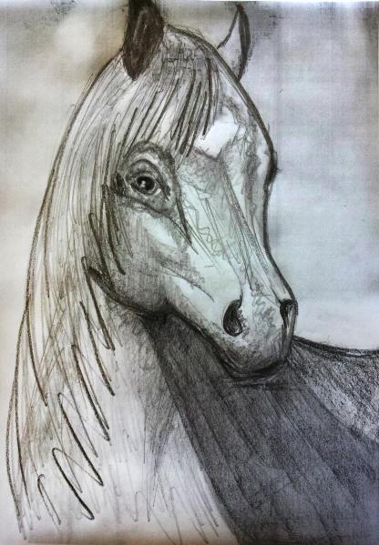 Sketch- Horse