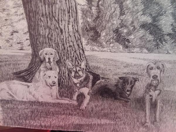 5 Dogs Under A Tree
