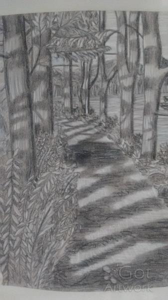 Path In The Woods