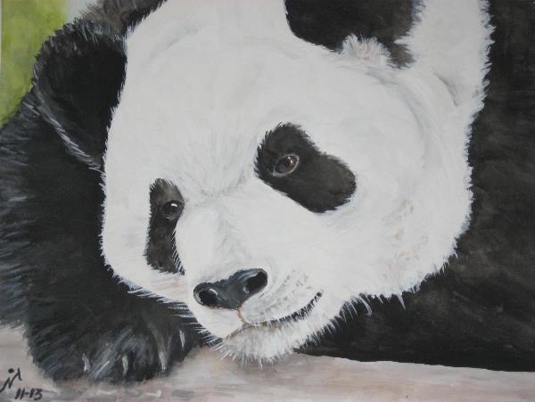Pondering Panda