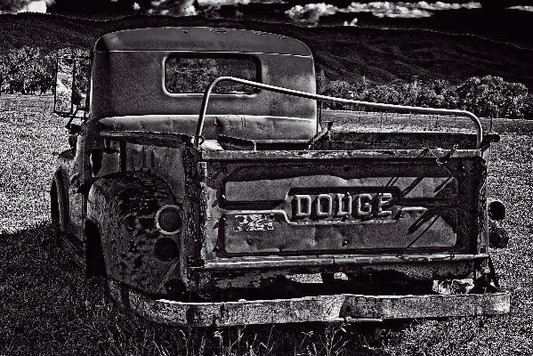 Dodge In The Zone