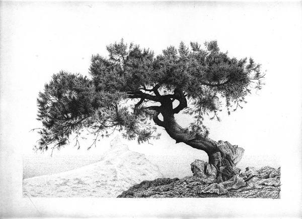 Crimean Tree