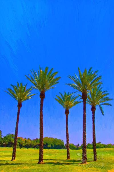 Palm Trees In The Park