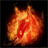 Horse On Fire As Framed Poster