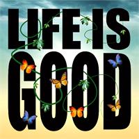 Life Is Good Copy As Framed Poster