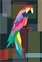 Parrot As Framed Poster