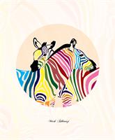 Zebra As Framed Poster
