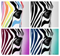 Zebra Colage As Framed Poster