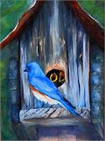 Bluebird Fimily As Greeting Card