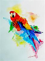 The Parrot As Framed Poster