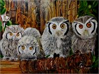 Family Of Owl As Framed Poster