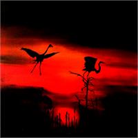 Cranes At Night As Framed Poster