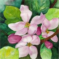 Romantic Apple Blossom Soft Watercolor Art As Framed Poster