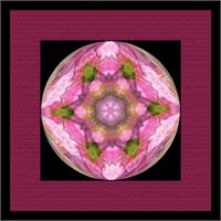 Orb Abstract Squared -1 Pink As Framed Poster