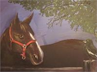 Horse As Framed Poster
