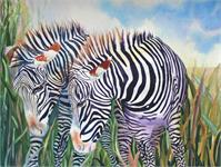 Zebra Zebra As Framed Poster