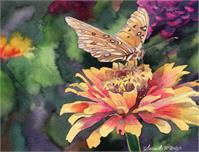 Butterfly On A Zinnia As Framed Poster