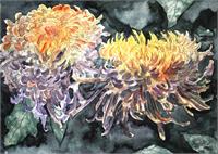 Chrysanthemum Flower Art Print As Framed Poster