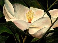 Magnolia Flower Acrylic Painting Art Print As Framed Poster