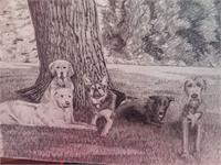 5 Dogs Under A Tree As Framed Poster