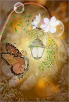 Fairy Lantern Illumination As Greeting Card
