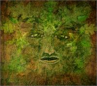 Green Man Mythology As Framed Poster