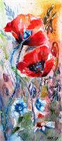 Poppies As Greeting Card