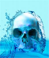 Skull In Water As Framed Poster