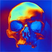 Skull In Blue And Gold As Framed Poster
