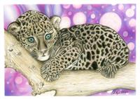 Baby Jaguar As Framed Poster