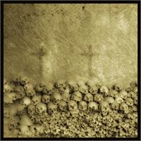 Skulls 2 - Augusto De Luca Photographer