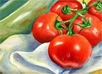 Tomatoes Still Life As Framed Poster