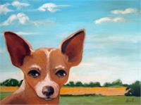 Chihuahua Portrait Rural Landscape As Greeting Card