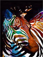 Color Zebra As Framed Poster