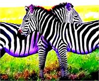 2 Zebra
