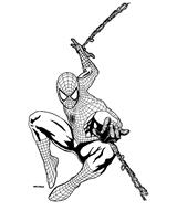 Spider - Man As Framed Poster