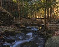 Old Wooden Bridge Over Pond Run Creek