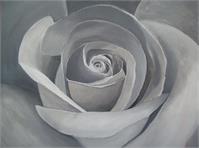 Grey Rose II As Framed Poster