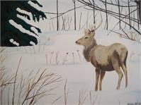 Winter Deer As Framed Poster