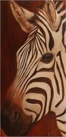 Zebra As Framed Poster