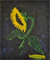 Sunflower As Framed Poster