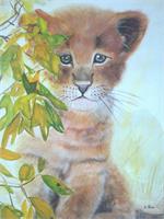 Lion Cub As Framed Poster