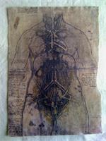 Leonardo Da Vinci - Internal Organs 1