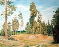 Tall Pines As Greeting Card