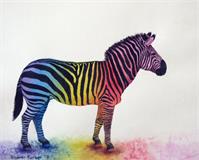 Rainbow Zebra As Framed Poster