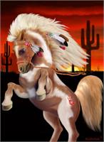 Indian War Pony As Framed Poster