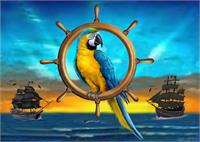 Macaw Pirate Parrot As Framed Poster