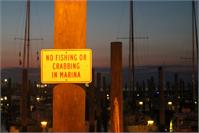 No Fishing Or Crabbing In Marina As Framed Poster