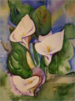 My Mother's Calla Lillies As Greeting Card